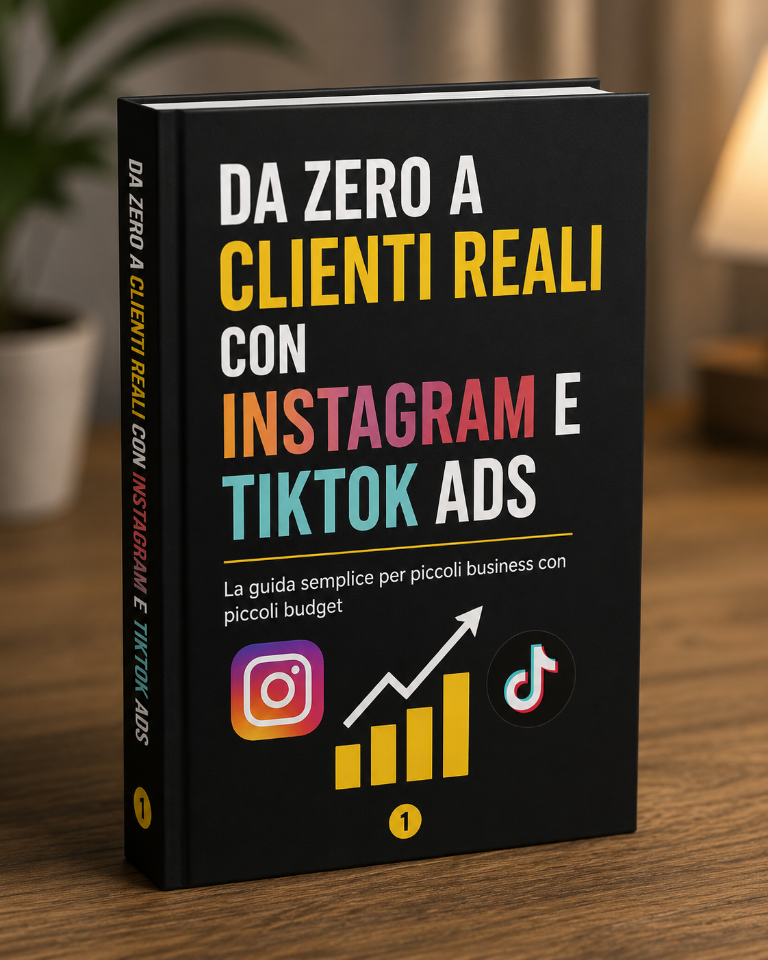 Guida facile alle ADS di Tiktok e Instagram